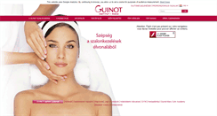 Desktop Screenshot of hu.guinot.com